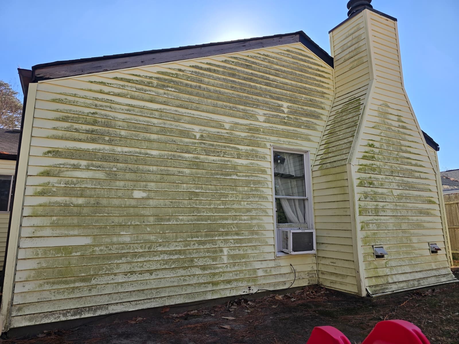 dirty green algae covered house needing pressure washing