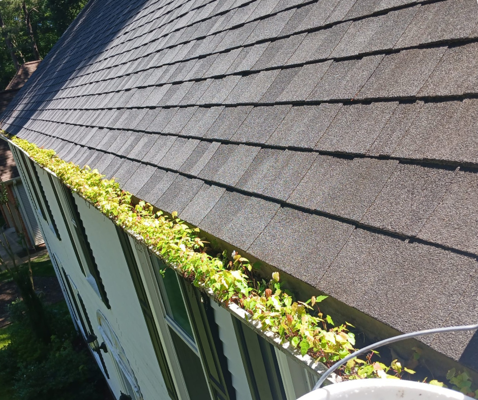 Close-up of a clogged residential gutter filled with pine needles, leaves, and debris restricting water flow.