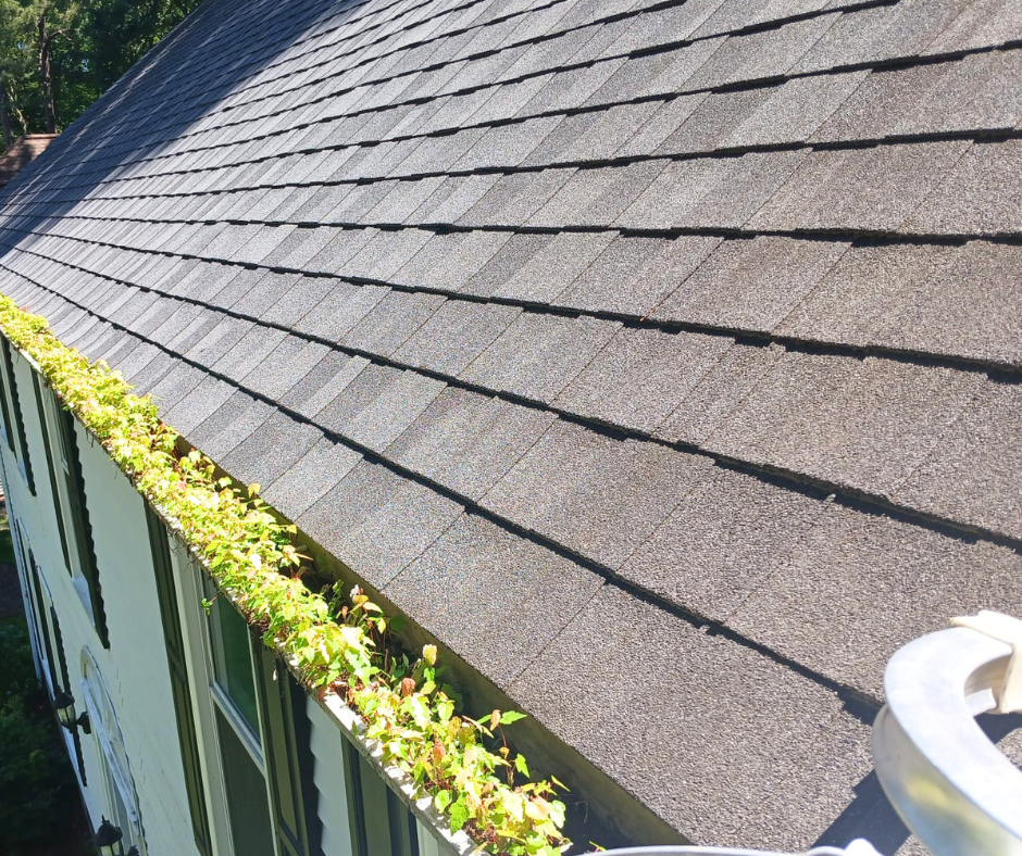 A view of a gutter filled with organic material, emphasizing the connection between roof health and proper drainage.