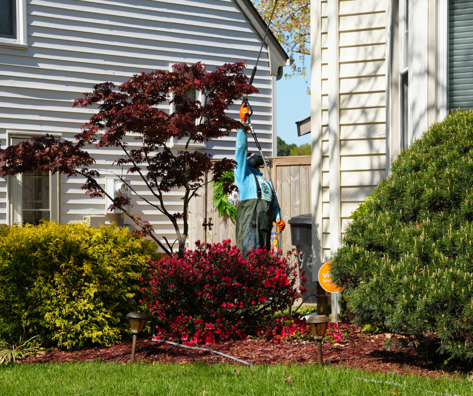 Exterior cleaning technician using a long-handled sprayer to clean the siding of a residential home, surrounded by landscaped shrubs and flowers.