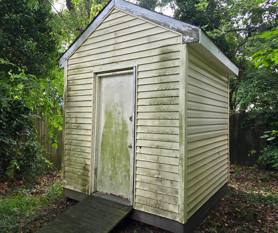 Weathered outdoor shed with green algae and staining covering the siding and door, surrounded by dense greenery.